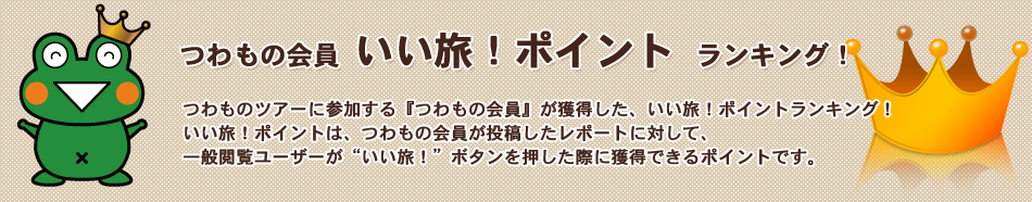 つわものツアースポット人気ランキング