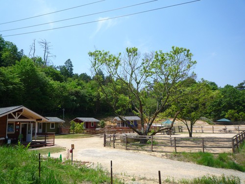 RVパーク 遊びの森グリーンフィールド