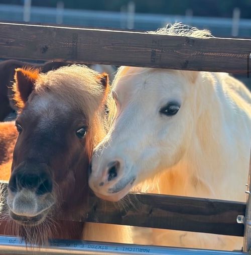 RVパークA-VILLAGE