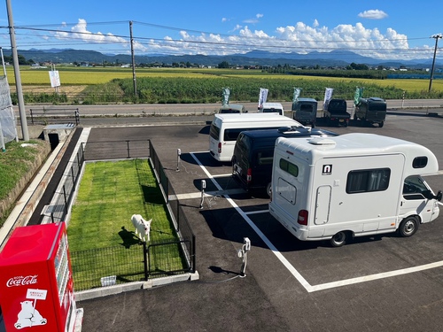 RVパーク CARS LAND写真