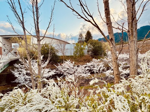 RVパークライトかもきみの湯写真