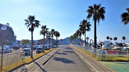 RVパーク 仁尾マリーナ写真