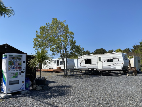 琵琶湖RVパークアヤメ写真