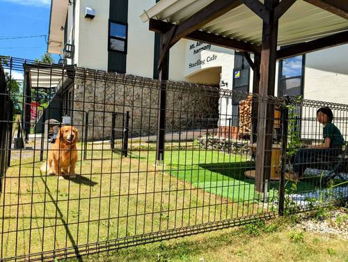 Starling Cafe RVパーク写真