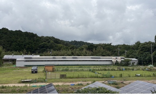 RVパーク ドッグラン&オートキャンプ LOHAS PARK写真