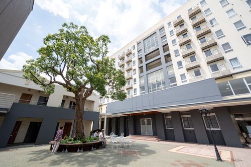 RVパーク きのくに温泉写真