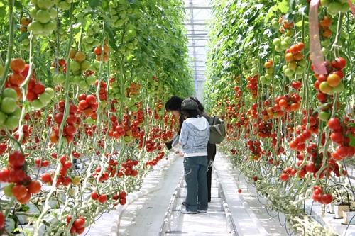 RVパーク ワンダーファーム写真