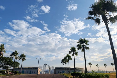 RVパーク 二色の浜公園 海浜緑地写真