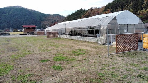 RVパーク アマンズガーデン直営BBQ場写真