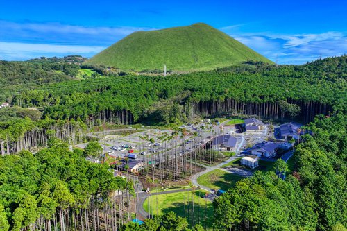 RVパーク 伊東 奏の森リゾート写真