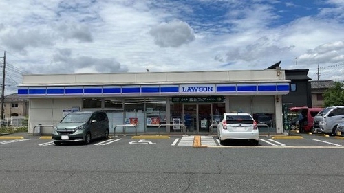 コンビニRVパーク ローソン飯能双柳六道(はんのうなみやなぎろくどう)店写真