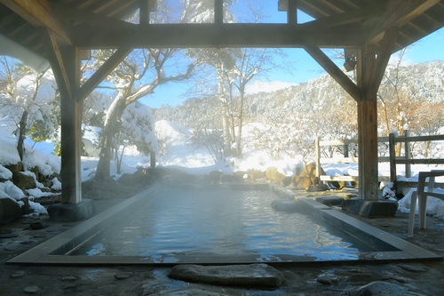 湯けむり屋敷 薬師の湯写真