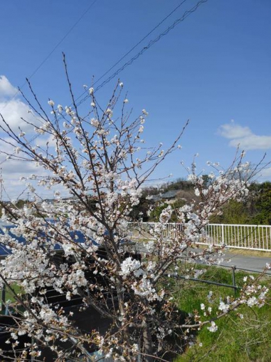 RVパークライト大和の里 富雄中町(とみおなかまち)写真