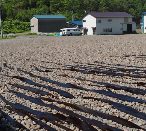 RVパーク昆布森番屋写真