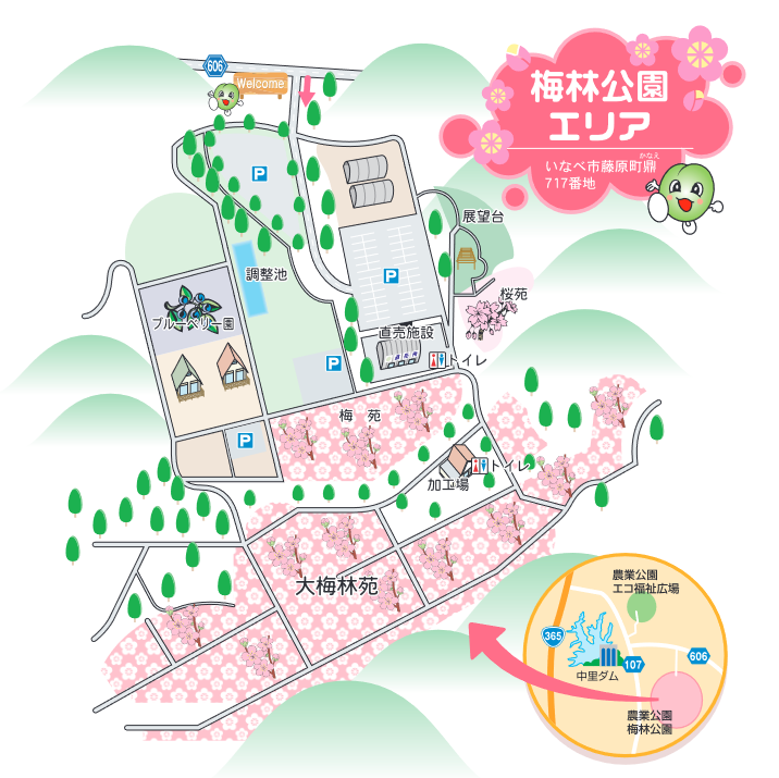 三重県いなべ市梅林公園