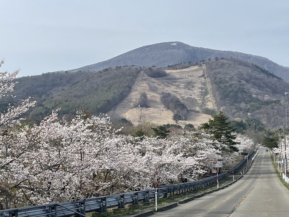 アクセス