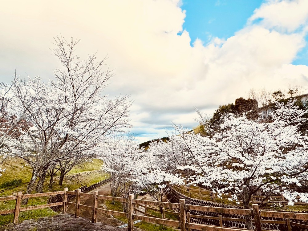 RVパークかもきみの湯写真