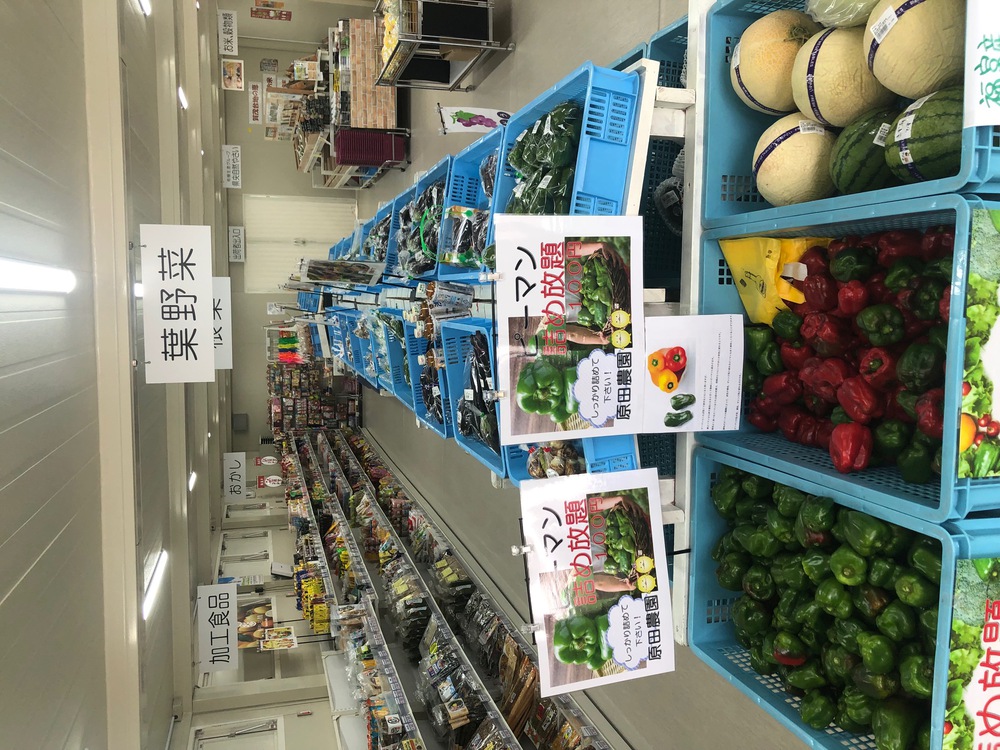 館内