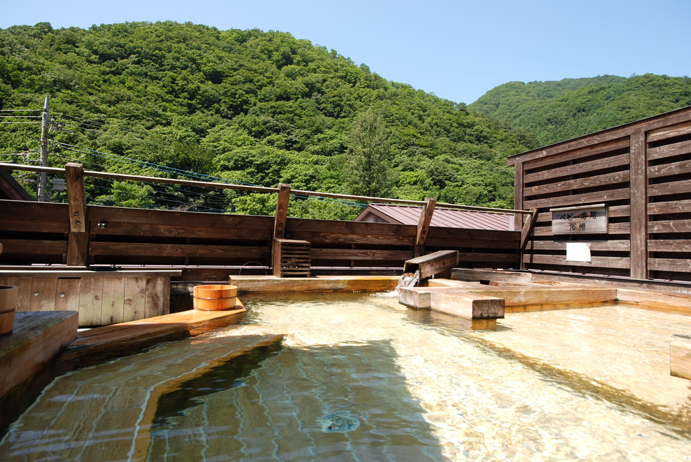 【1日2台限定!】利根川源流・せせらぎパーク（なかや旅館）　貸切温泉利用可写真