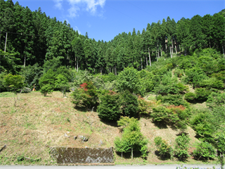 施設