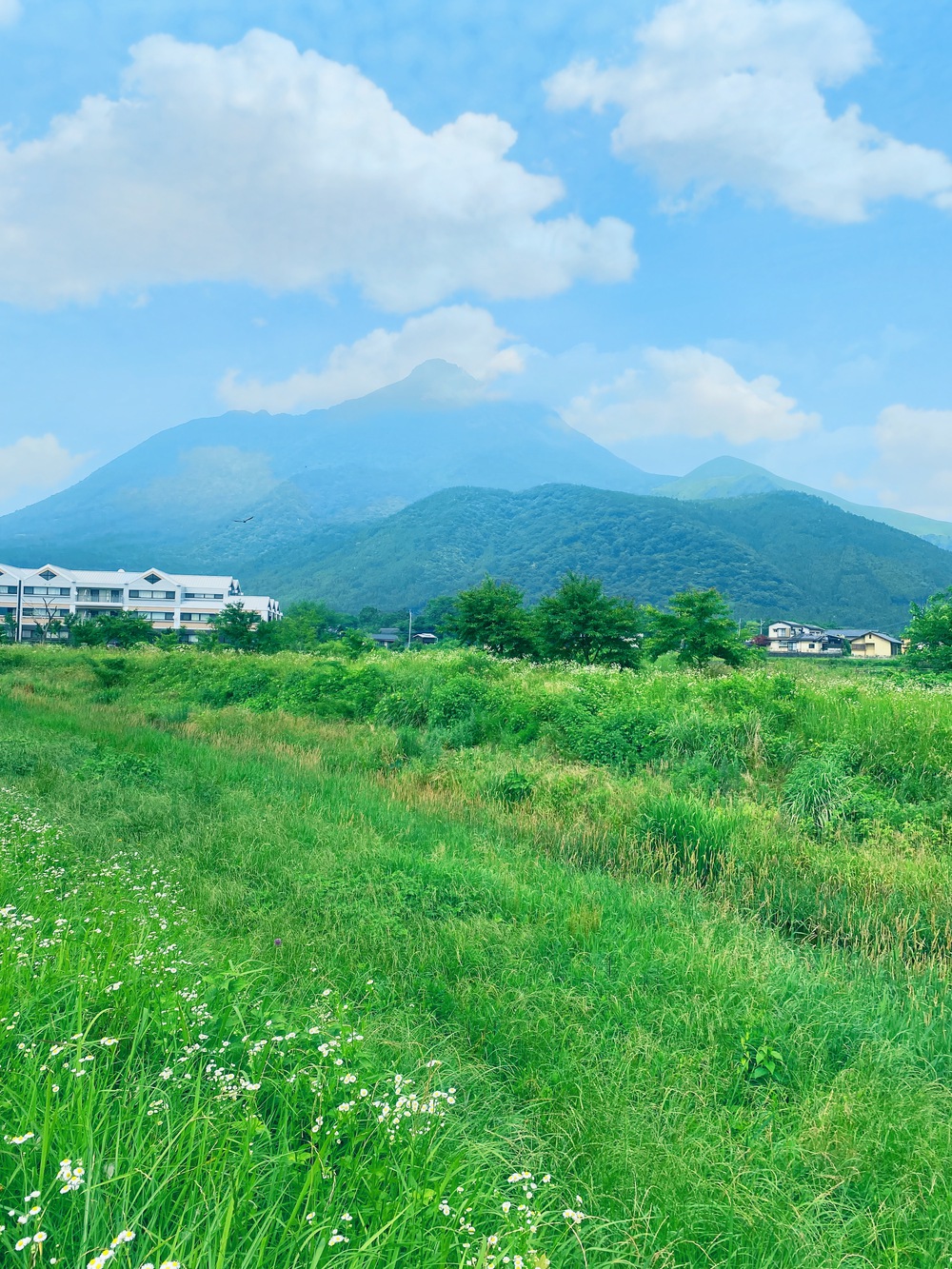 施設