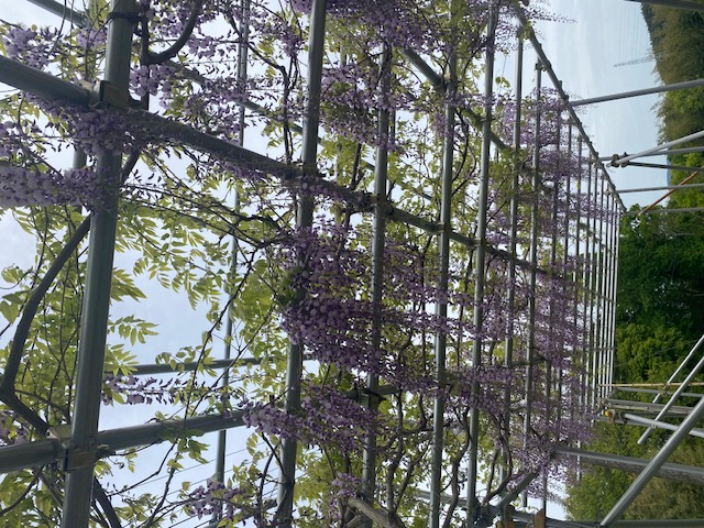 施設