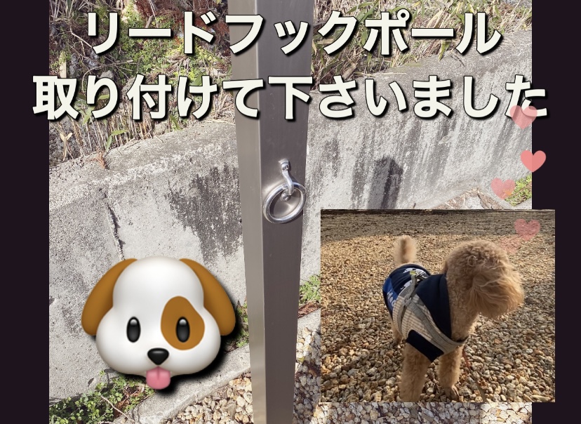 ペット