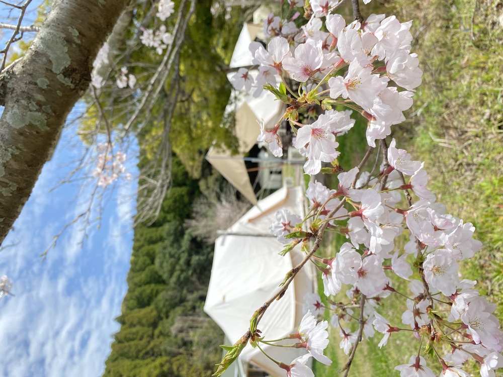 施設