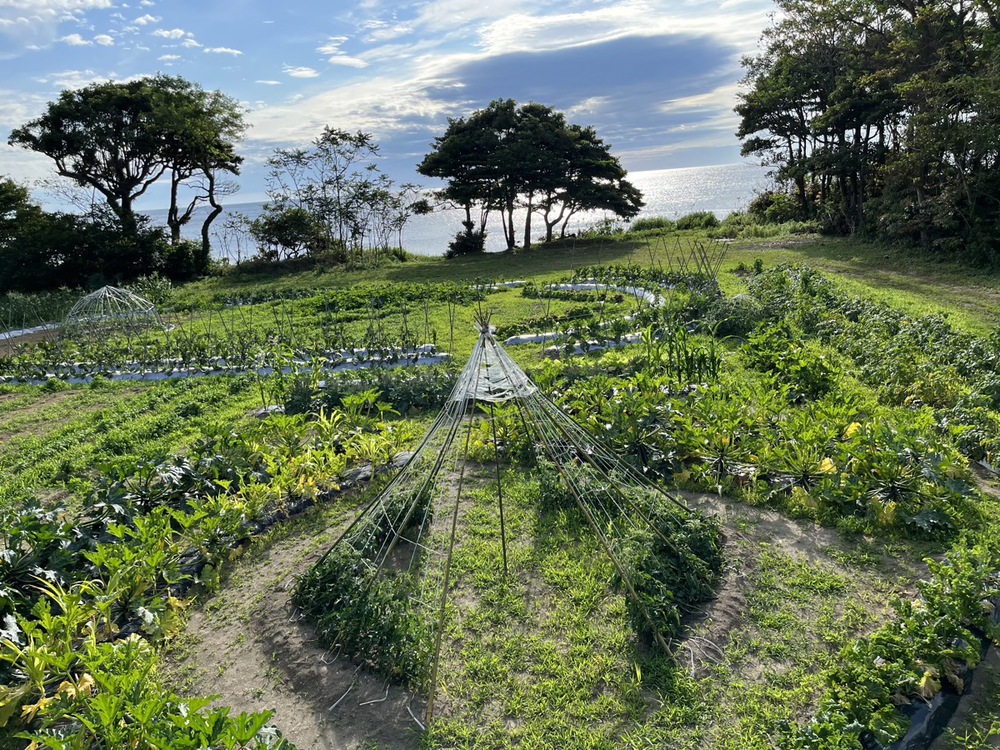 施設