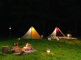 RVパーク 『IMORI CAMPSITE』～いもりきゃんぷの森～写真