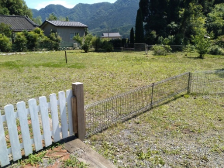 ペット