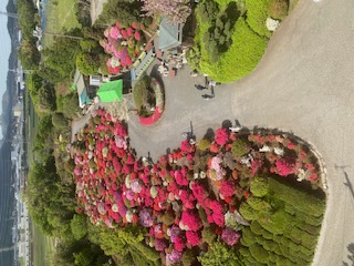 杉山つつじ園RVパーク写真