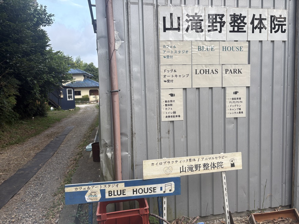 入り口