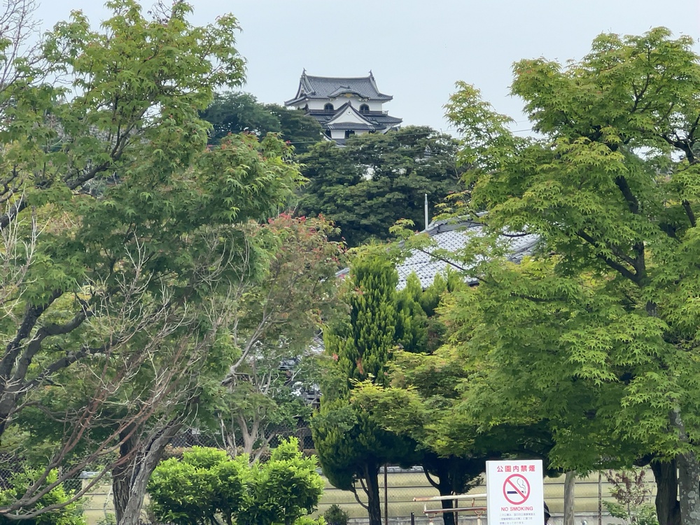 眺望