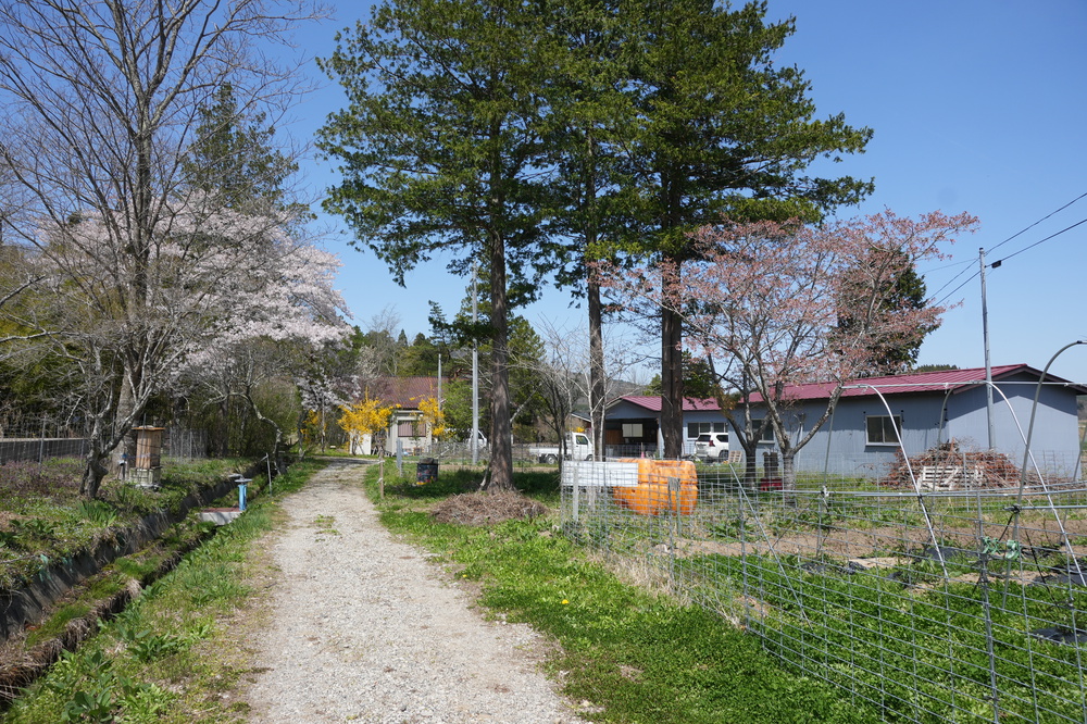 施設