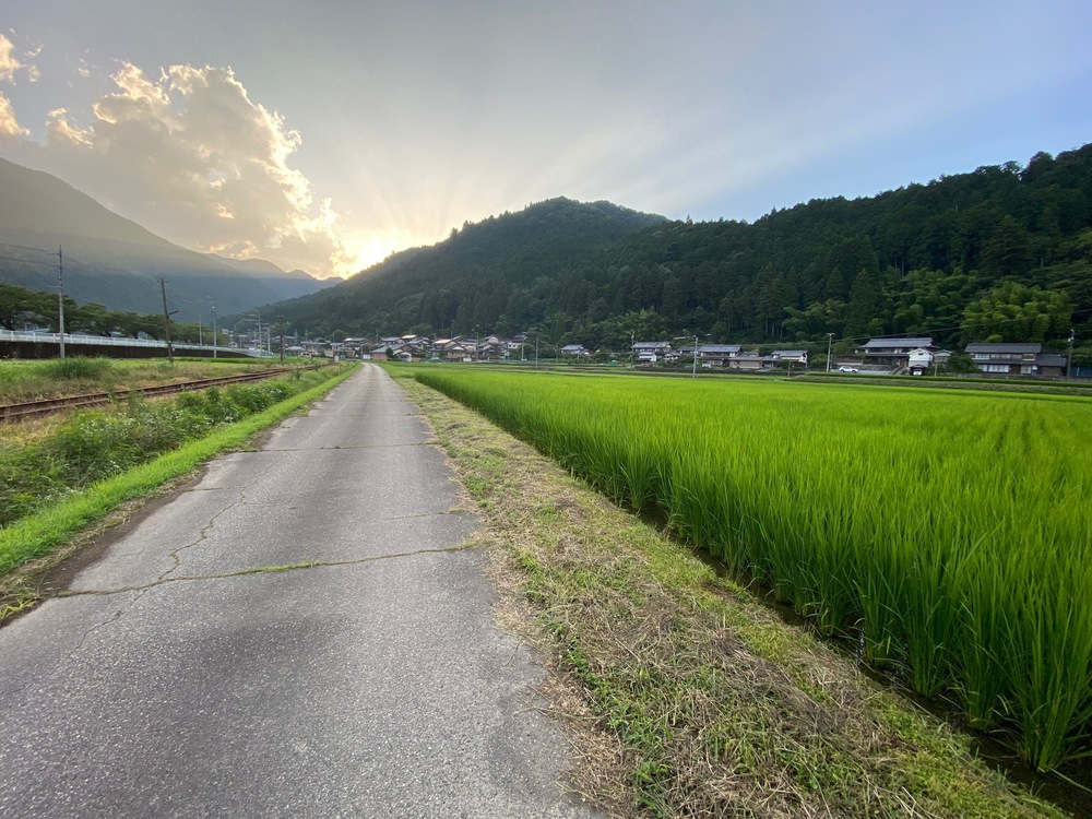 眺望