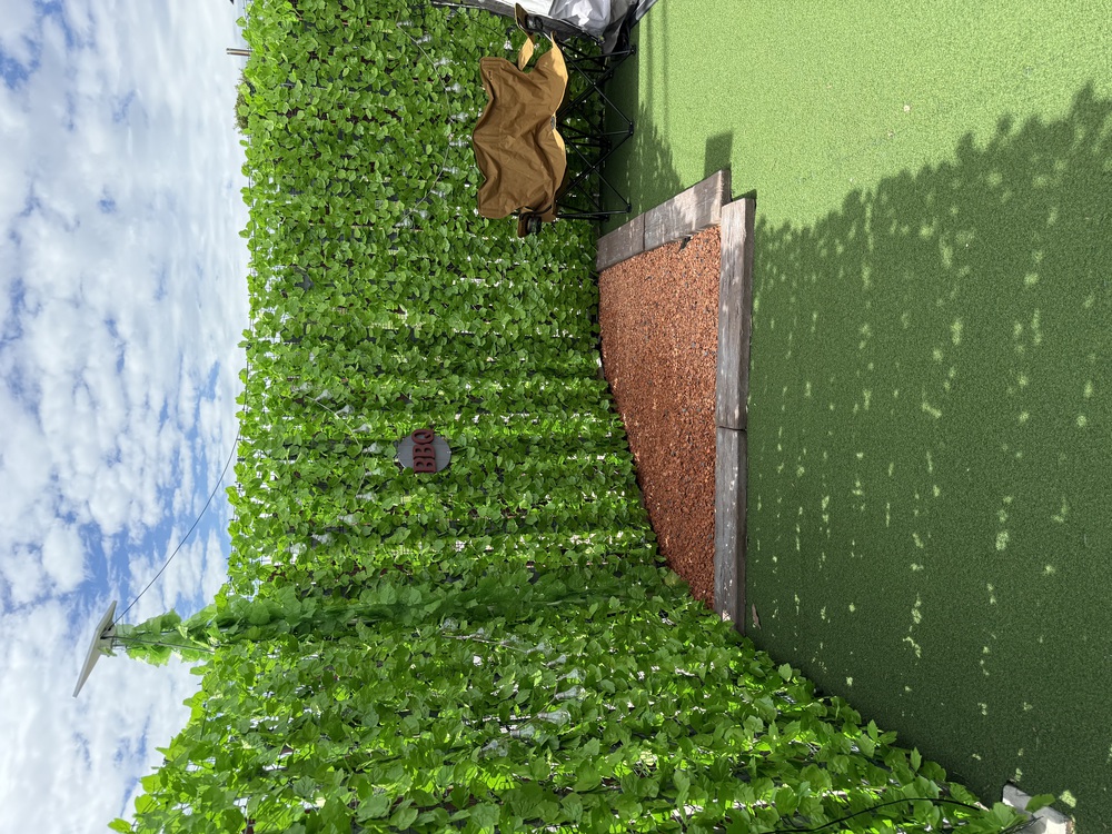 施設