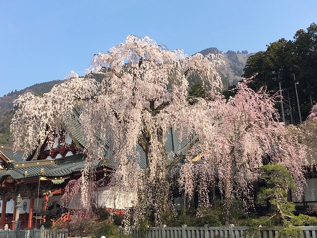 周辺施設