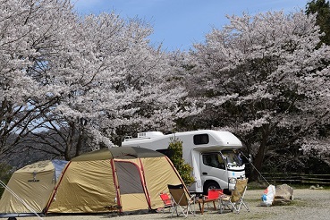 ACN・OK オートキャンプ場写真