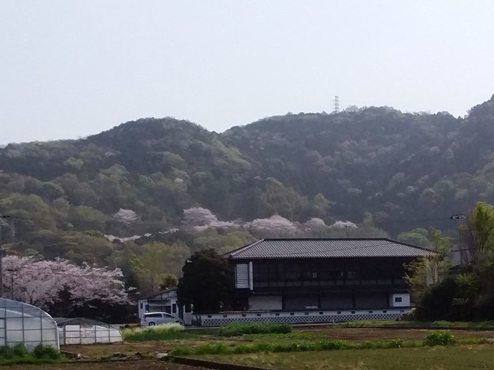 施設