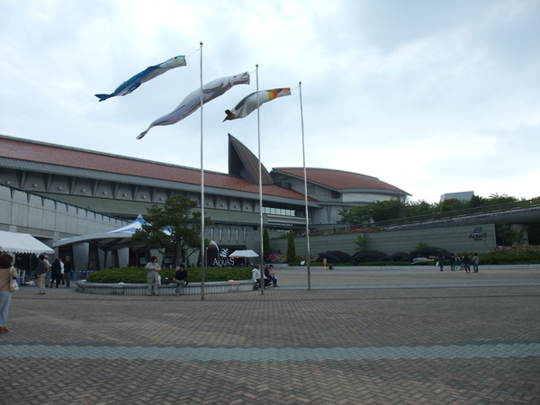 島根県立しまね海洋館　アクアス