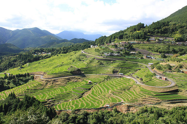 丸山千枚田