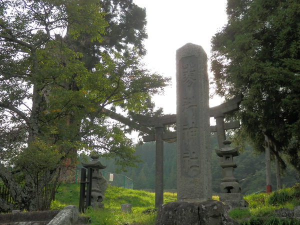 蓼科神社