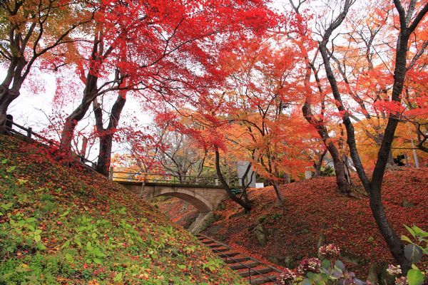 烏帽子山公園