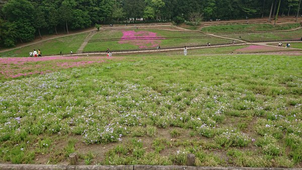 羊山公園