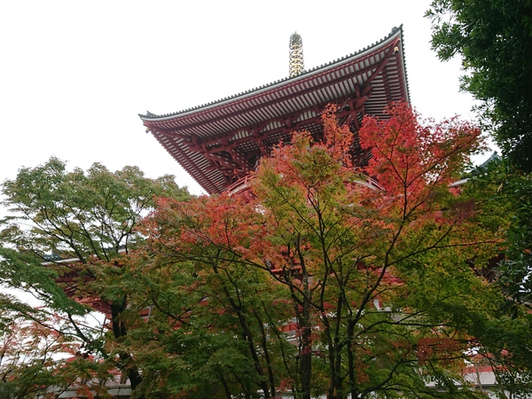 成田山新勝寺