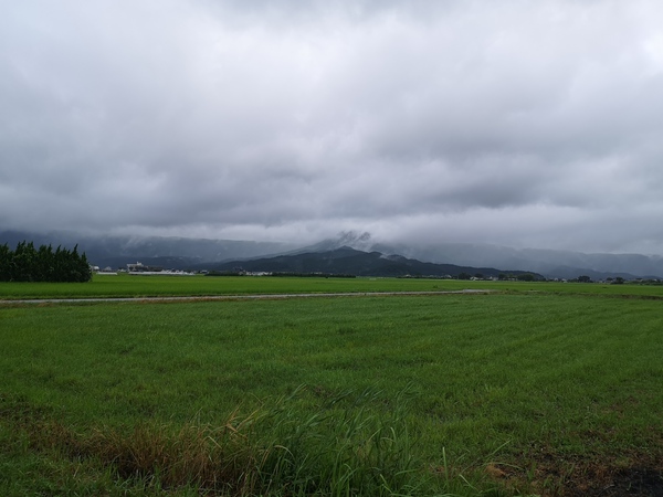 台風来たけど大丈夫の写真