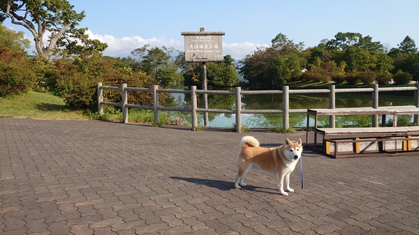 日本一周の旅4の写真