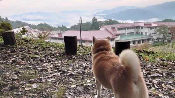 日本一周の旅10の写真