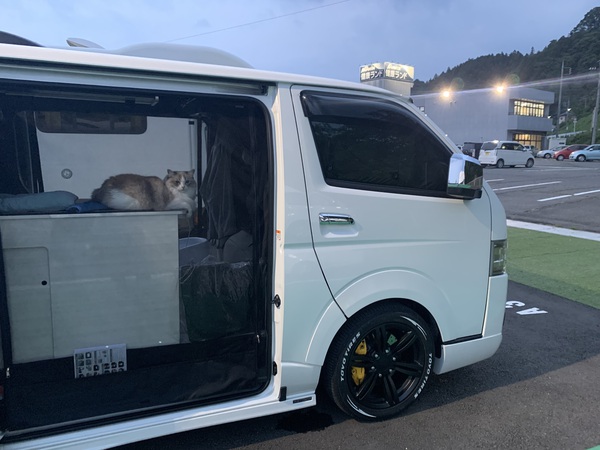 旅猫達と車中泊！の写真